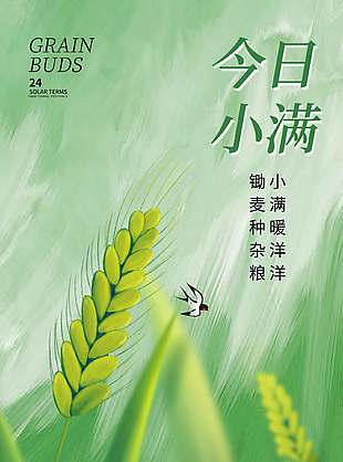 小满韵悠长清新二十四节气海报