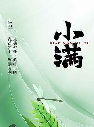 麦穗初齐清新传统小满节气海报