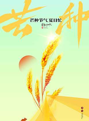 芒种节气夏日忙创意放牛剪影海报