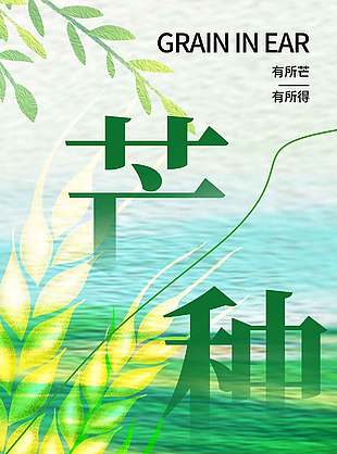 高端时尚中国传统芒种节气海报