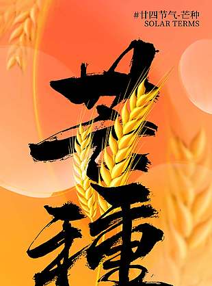 轻盈诗意中国传统芒种节气海报