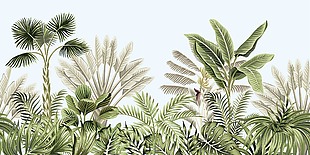 清新绿色热带雨林风景插画