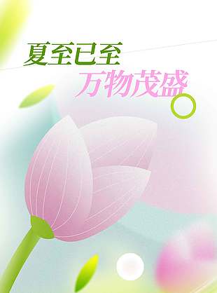 夏至已至万物茂盛二十四节气海报
