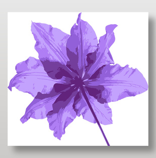 紫色花朵矢量图