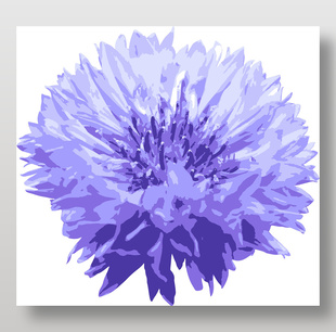 紫色盛开的花朵矢量图