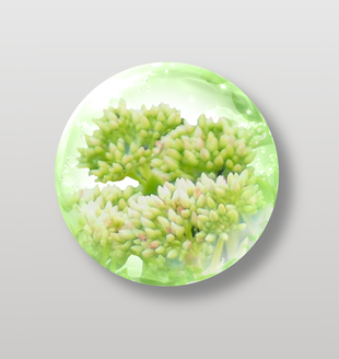 绿色植物泡泡装饰图案