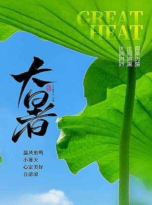 时光正韶华传统大暑节气海报