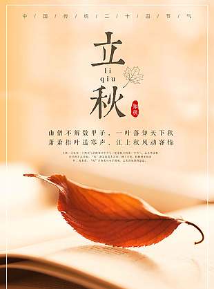 唯美秋叶落叶立秋节气海报