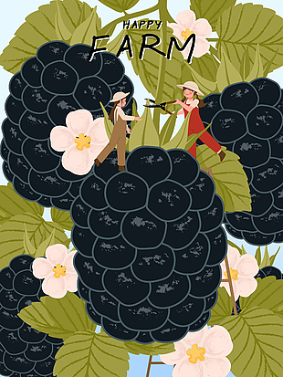 秋季丰收季节采摘黑莓插画