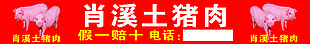 肖溪土猪肉