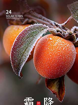 唯美意境传统二十四节气霜降海报