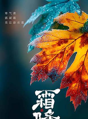 简约诗意中国传统霜降节气海报