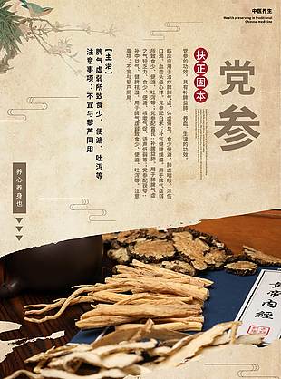 养生养心党参药理知识海报