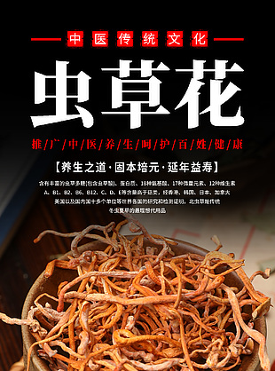 传统中药虫草花药理知识海报