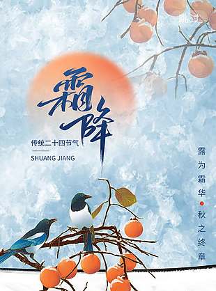 丰收季节柿子熟了霜降节气海报