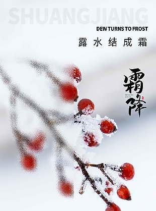 唯美秋景传统节气霜降海报