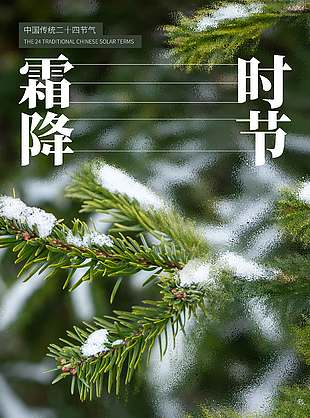 清新自然风传统节气霜降海报