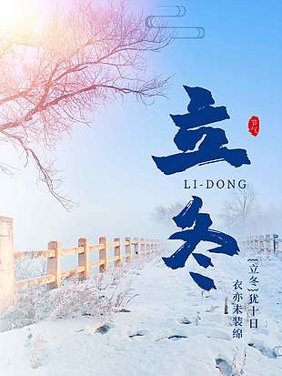 清新凛冽冬季雪景立冬海报
