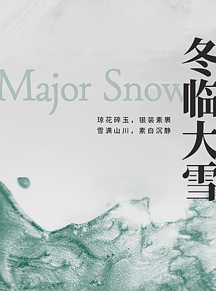 水墨风冬临大雪传统文化海报