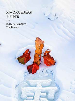 昔去雪如花中国传统小雪节气海报