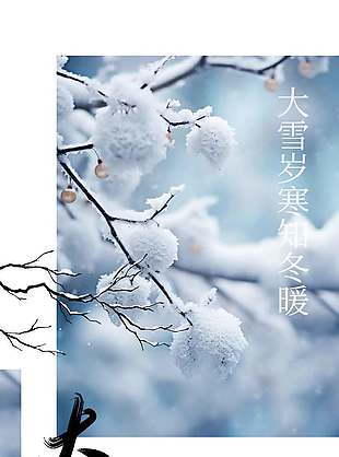 大雪岁寒知冬暖传统节气海报