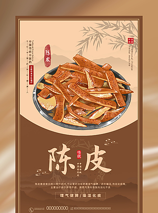 传统中医陈皮药理知识宣传海报