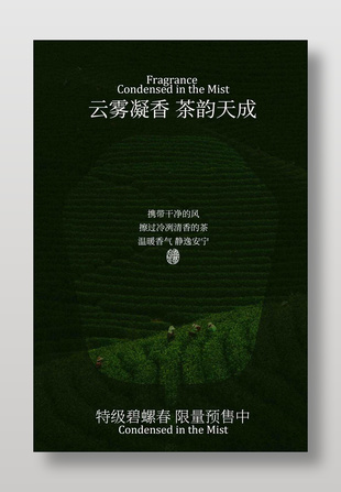 特级碧螺春限量预售茶饮宣传海报