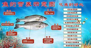 吃鱼的好处鱼的营养价值科普海报