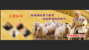 商超羊毛裤促销地贴