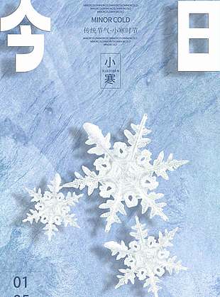 冬季清新简约小寒传统节气海报