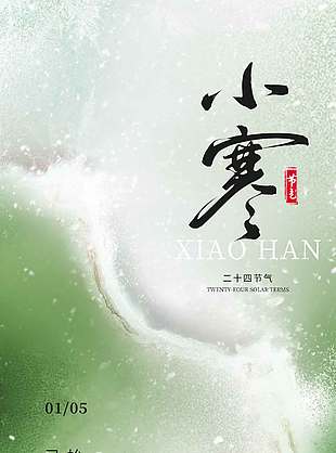 冬日风雪至小寒传统二十四节气海报