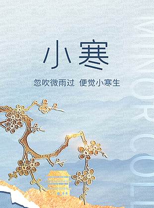 忽吹微雨过便觉小寒生传统节气海报