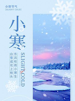 东风吹雨小寒生传统节气海报