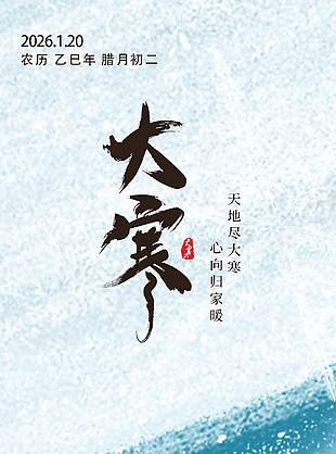 天地尽大寒简约传统节气海报