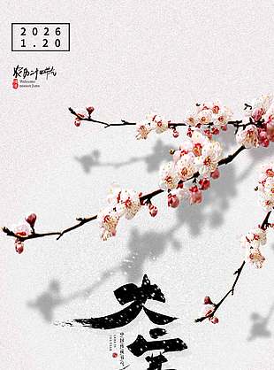 岁寒待春来简约梅花元素大寒节气海报