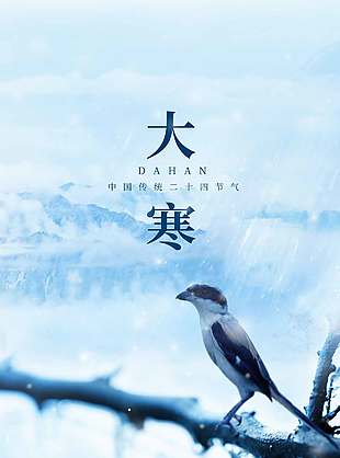 悦尽岁月严寒尽享房室温暖大寒节气海报