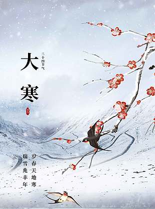 岁春天地寒瑞雪兆丰年大寒节气海报