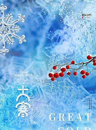 雪花飞舞天渐寒大寒传统节气海报