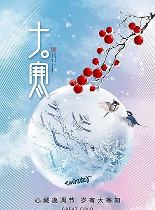 寒冬飘雪梅花飘香大寒传统节气海报