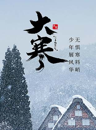 大寒时节履冰前行传统节气海报