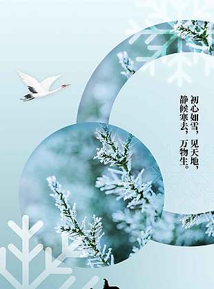 大寒时节初心如雪传统节气海报