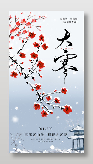大寒时节雪满寒山径传统节气海报