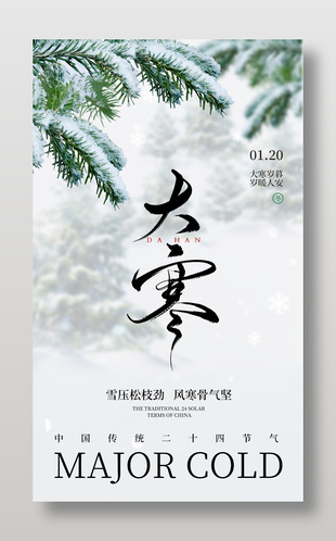 大寒岁暮岁暖人安传统节气海报