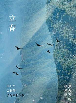 春已至万物始立春传统节气海报