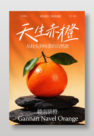赣南脐橙天生赤橙水果海报