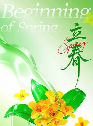 创意花卉元素立春节气绿色手机海报