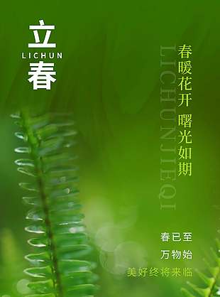 立春春暖花开曙光如期传统节气海报