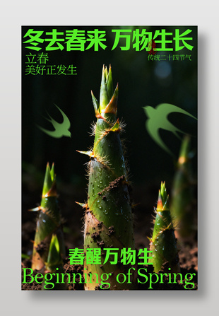 冬去春来万物复苏立春节气海报