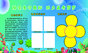 高三生物备课组教师风采简介展板设计