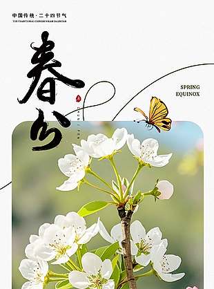 春分时节芳菲盎然传统节气海报